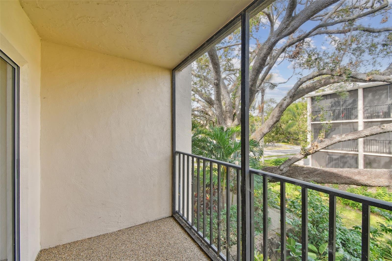 820 VIRGINIA ST #202, DUNEDIN, FL, 34698