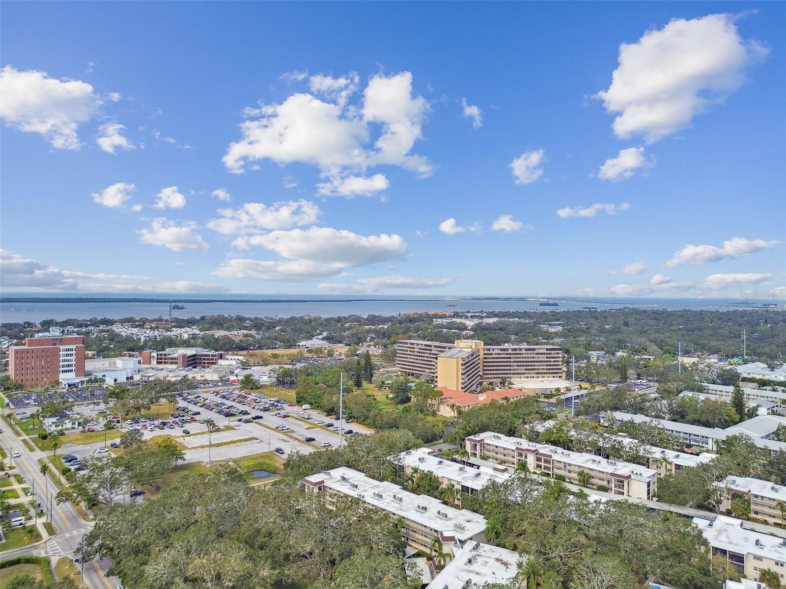 820 VIRGINIA ST #202, DUNEDIN, FL, 34698