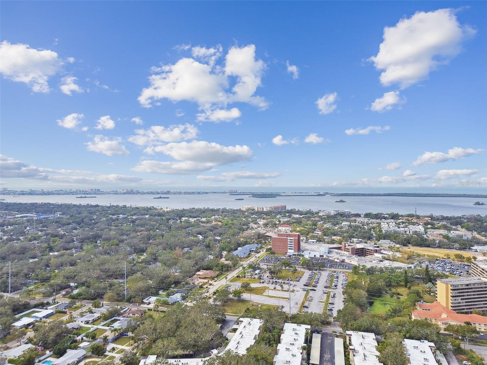 820 VIRGINIA ST #202, DUNEDIN, FL, 34698