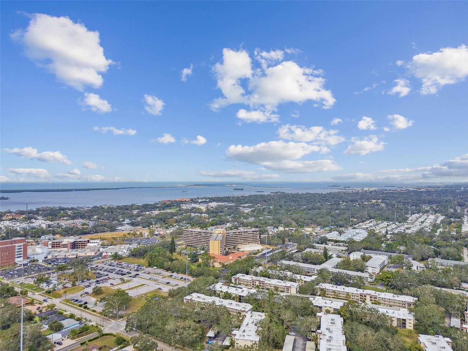 820 VIRGINIA ST #202, DUNEDIN, FL, 34698