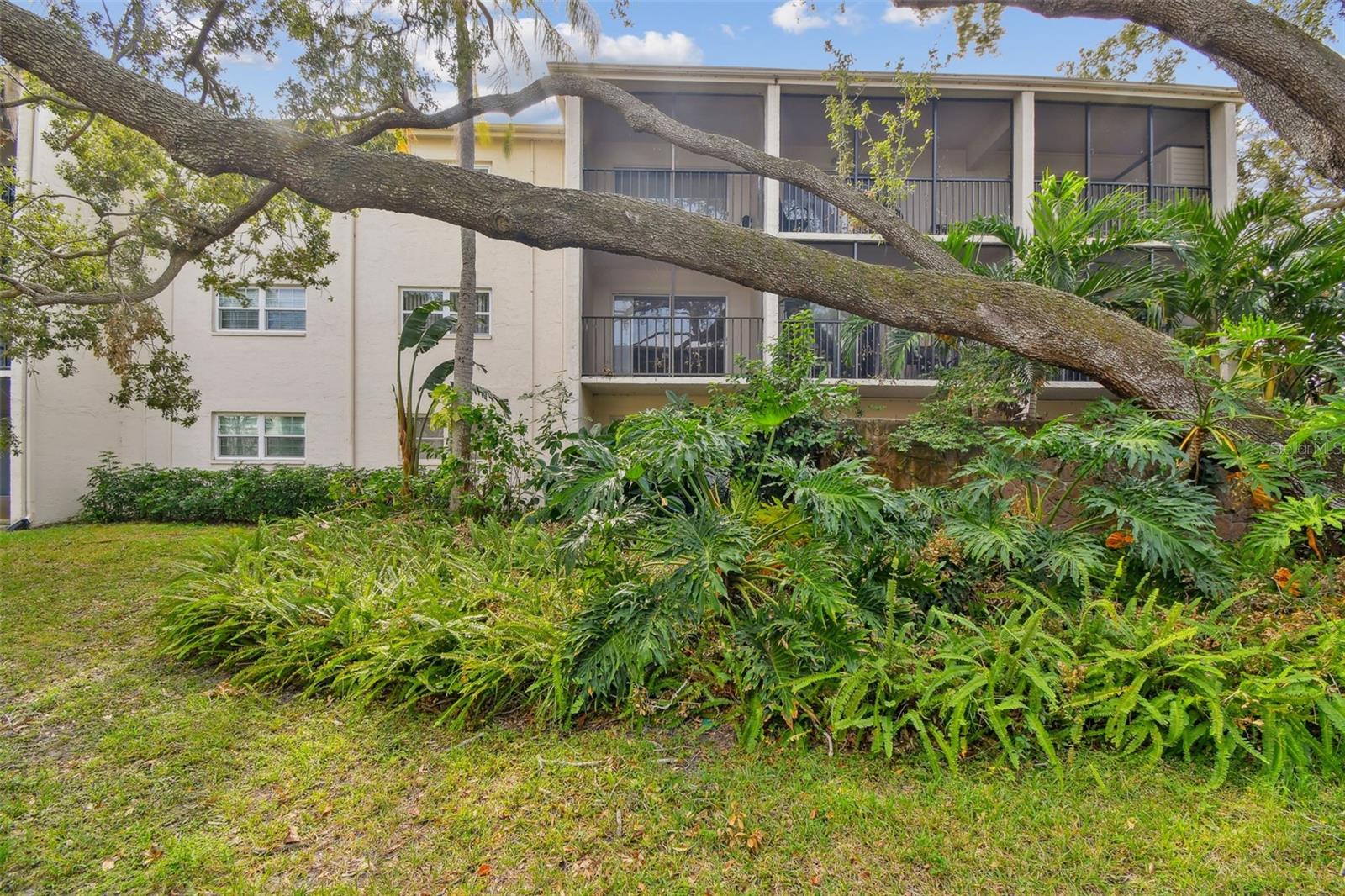820 VIRGINIA ST #202, DUNEDIN, FL, 34698