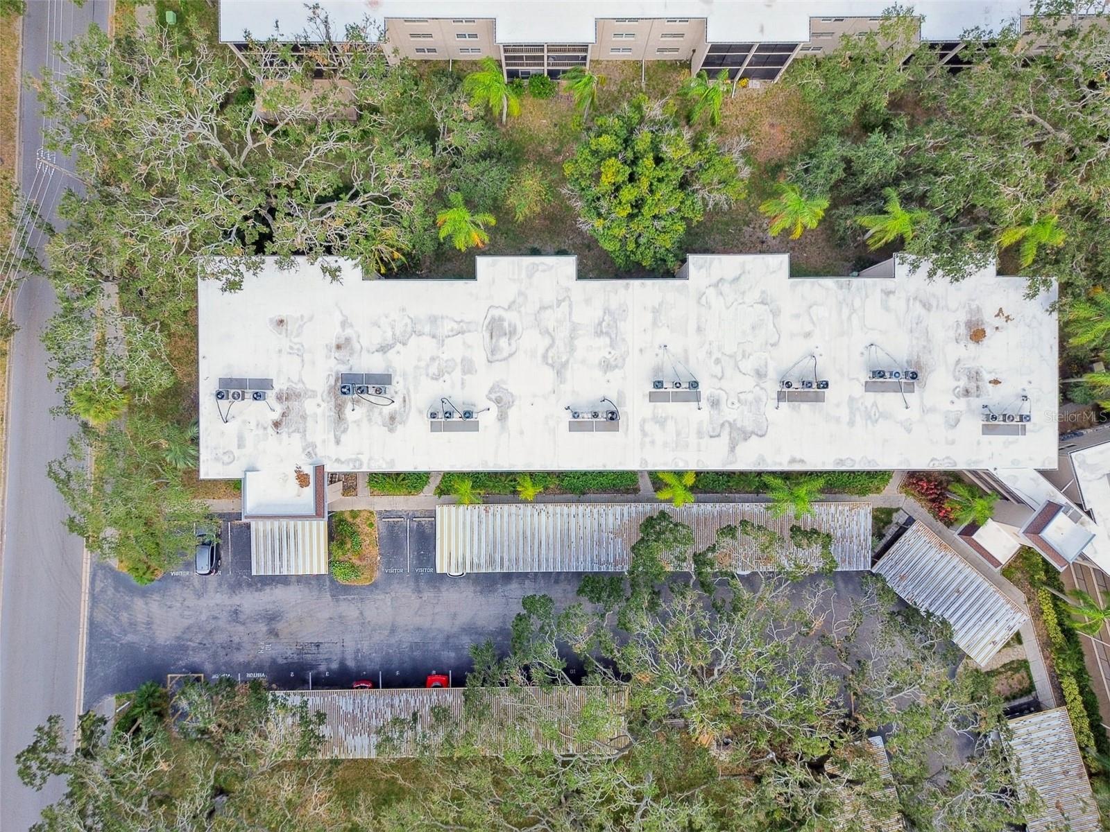 820 VIRGINIA ST #202, DUNEDIN, FL, 34698