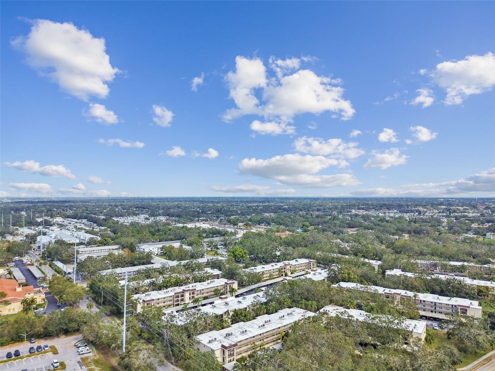 820 VIRGINIA ST #202, DUNEDIN, FL, 34698
