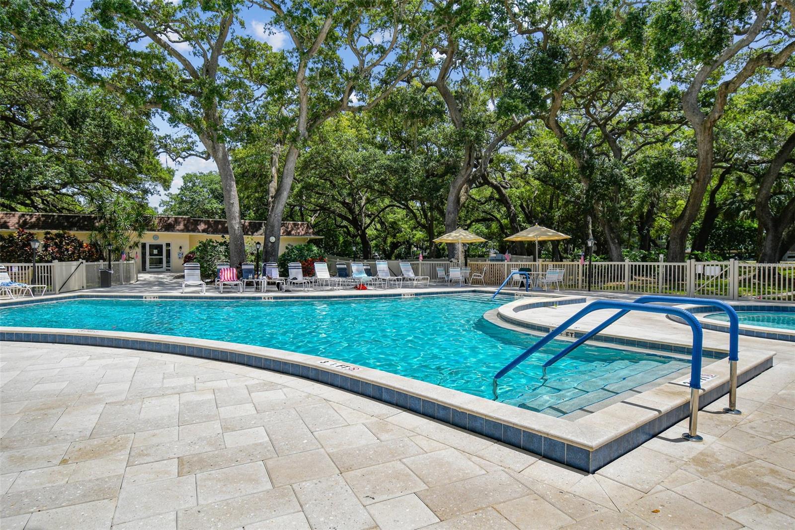 820 VIRGINIA ST #202, DUNEDIN, FL, 34698