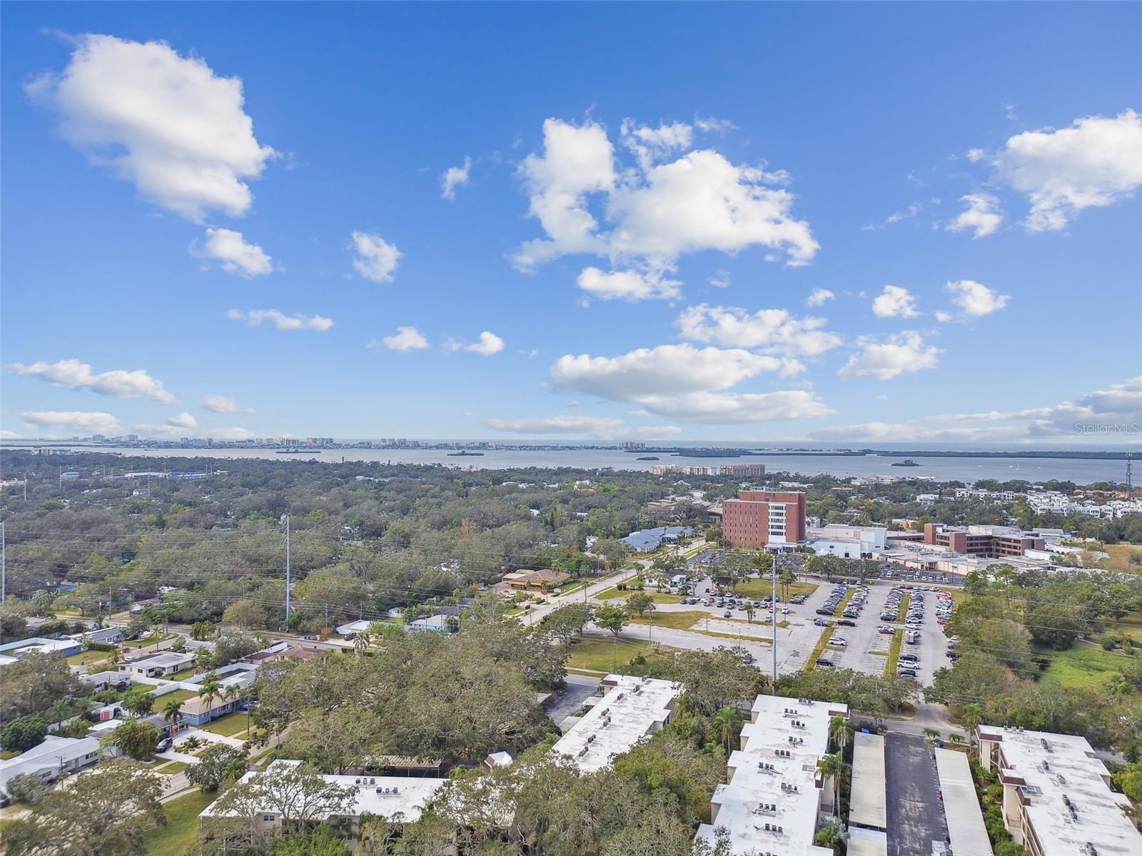 820 VIRGINIA ST #202, DUNEDIN, FL, 34698