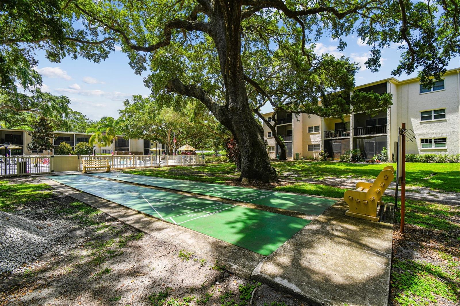 820 VIRGINIA ST #202, DUNEDIN, FL, 34698