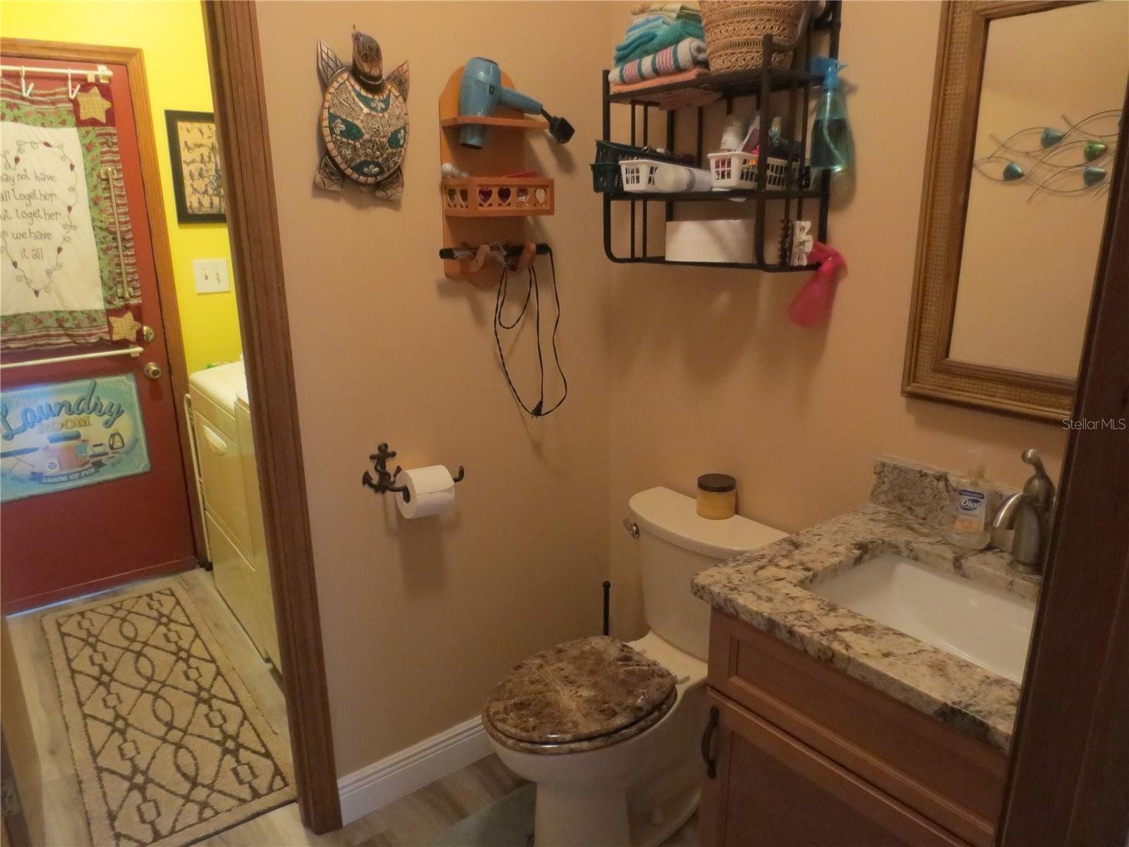 16295 SE 62ND PL, OCKLAWAHA, FL, 32179