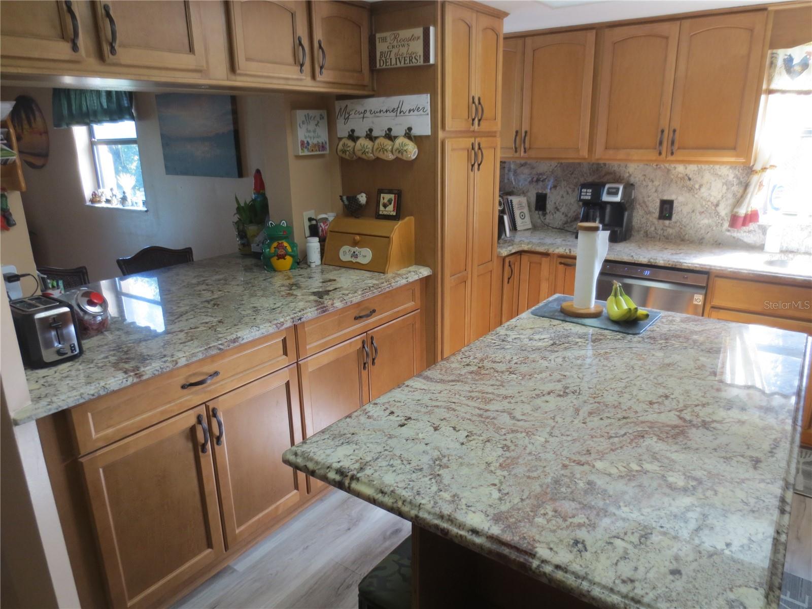 16295 SE 62ND PL, OCKLAWAHA, FL, 32179