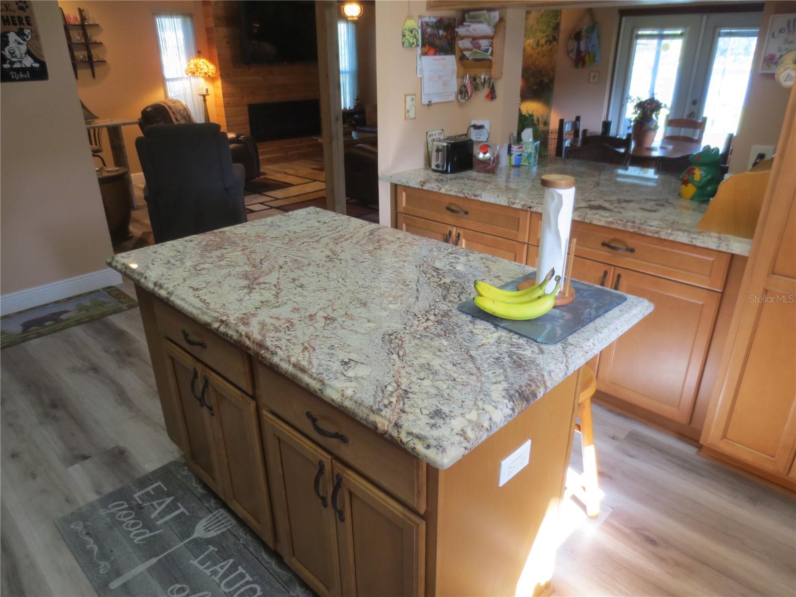 16295 SE 62ND PL, OCKLAWAHA, FL, 32179