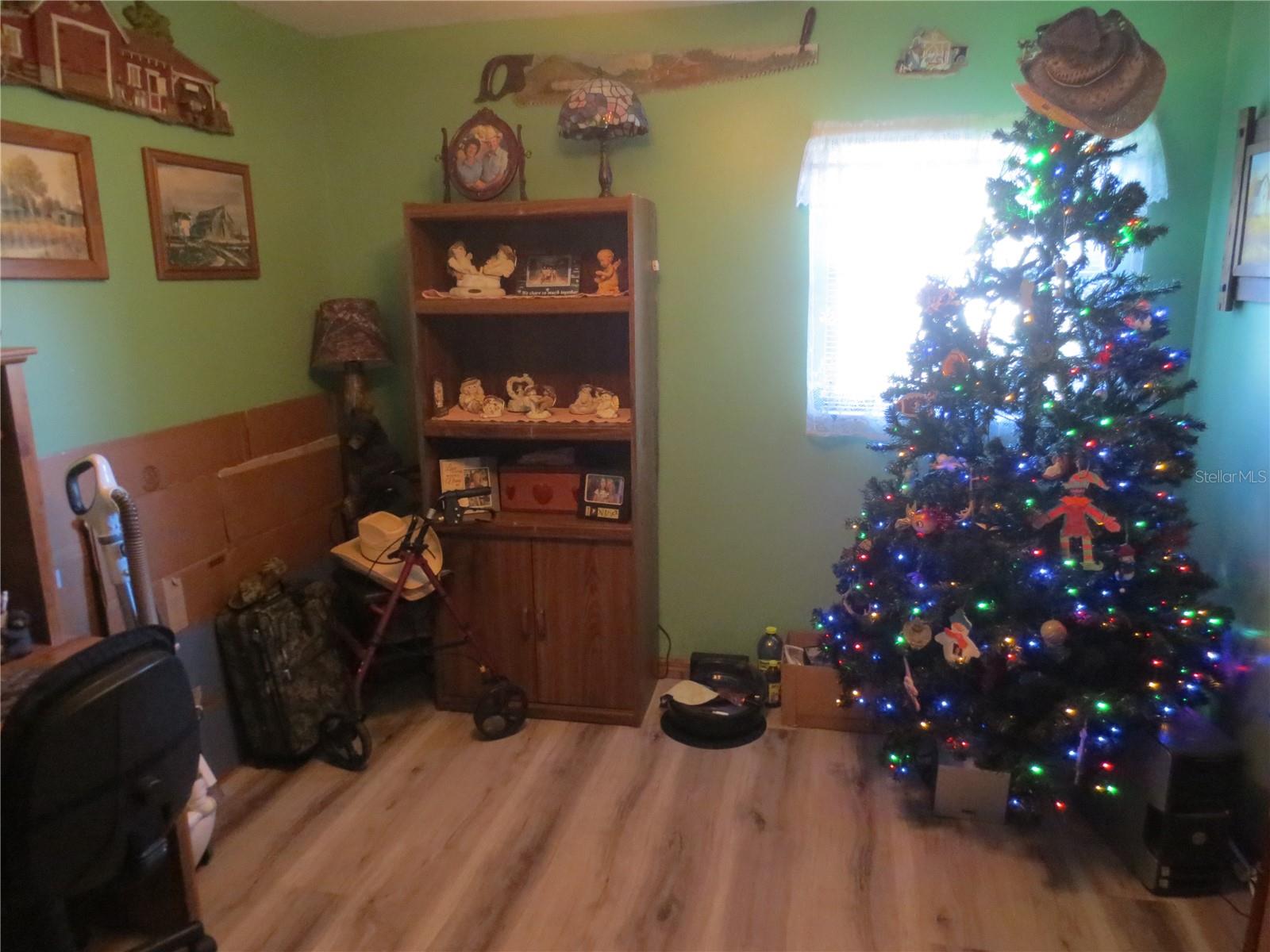 16295 SE 62ND PL, OCKLAWAHA, FL, 32179
