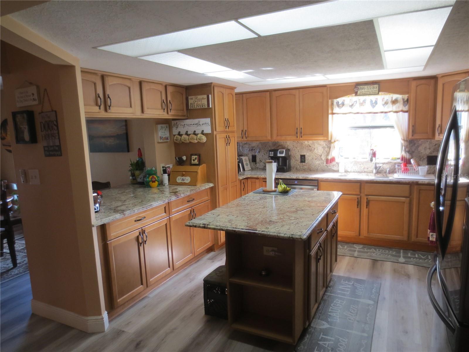 16295 SE 62ND PL, OCKLAWAHA, FL, 32179