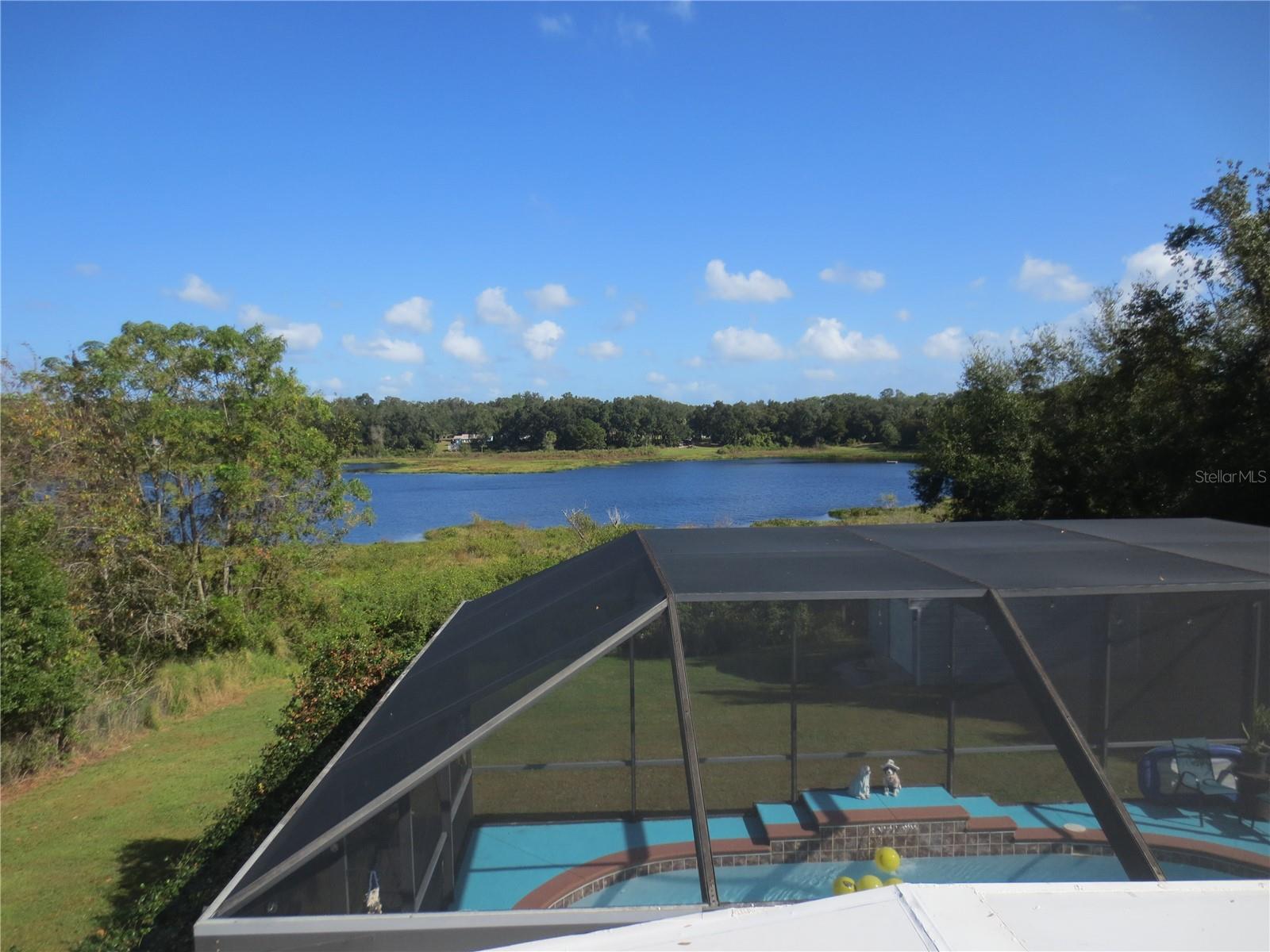 16295 SE 62ND PL, OCKLAWAHA, FL, 32179