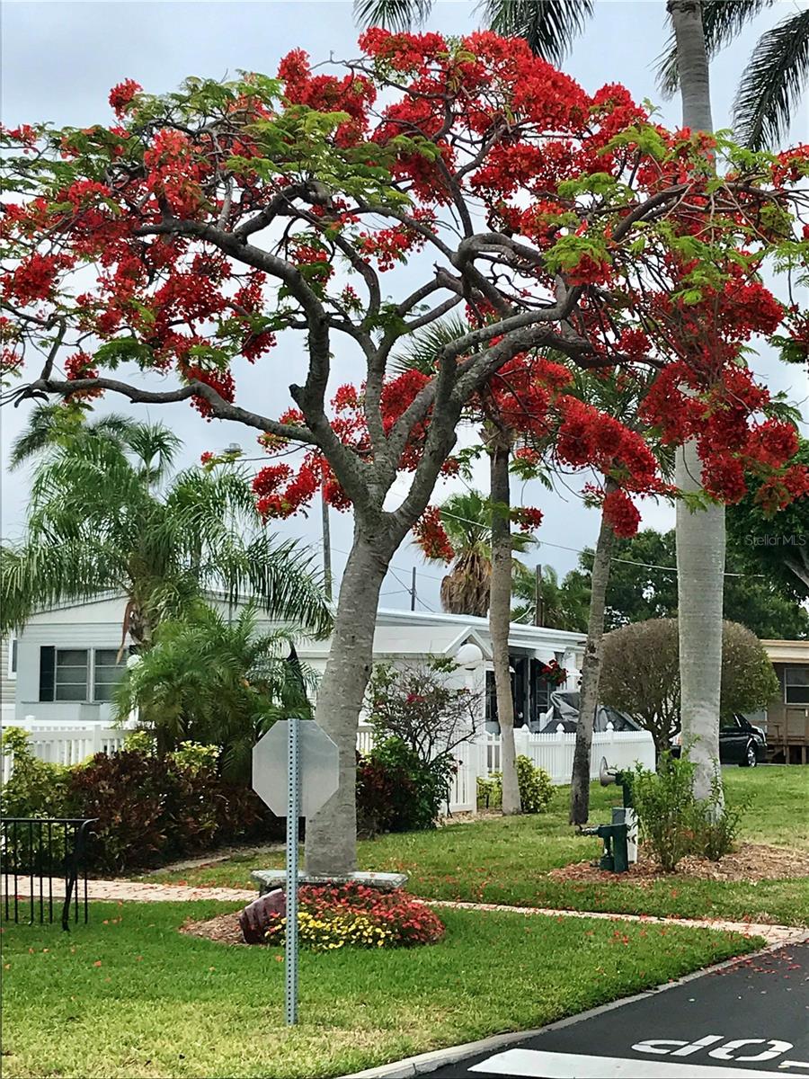 3710 GULF OF MEXICO DR #F1, LONGBOAT KEY, FL, 34228