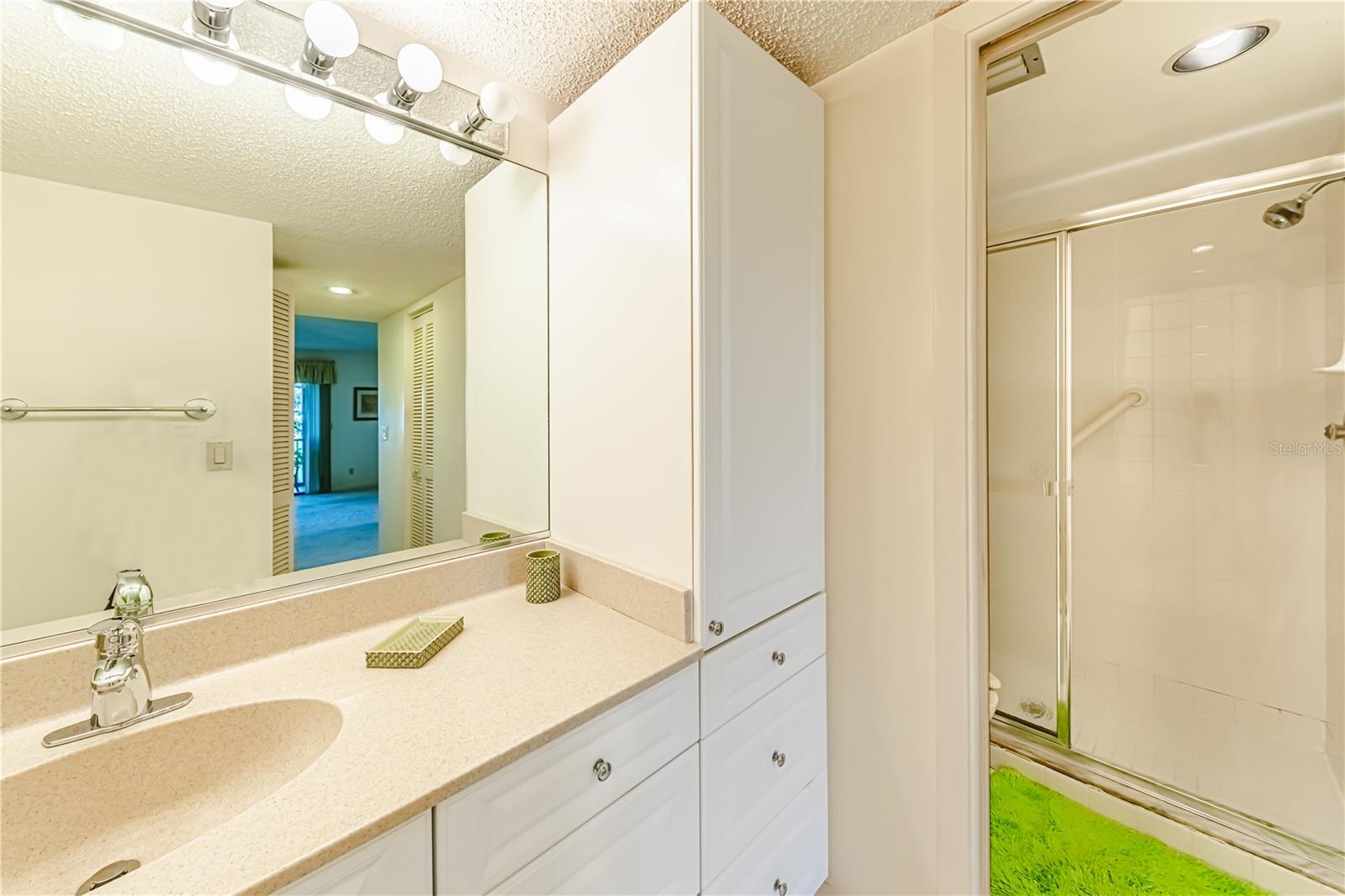 984 BIRD BAY WAY #255, VENICE, FL, 34285