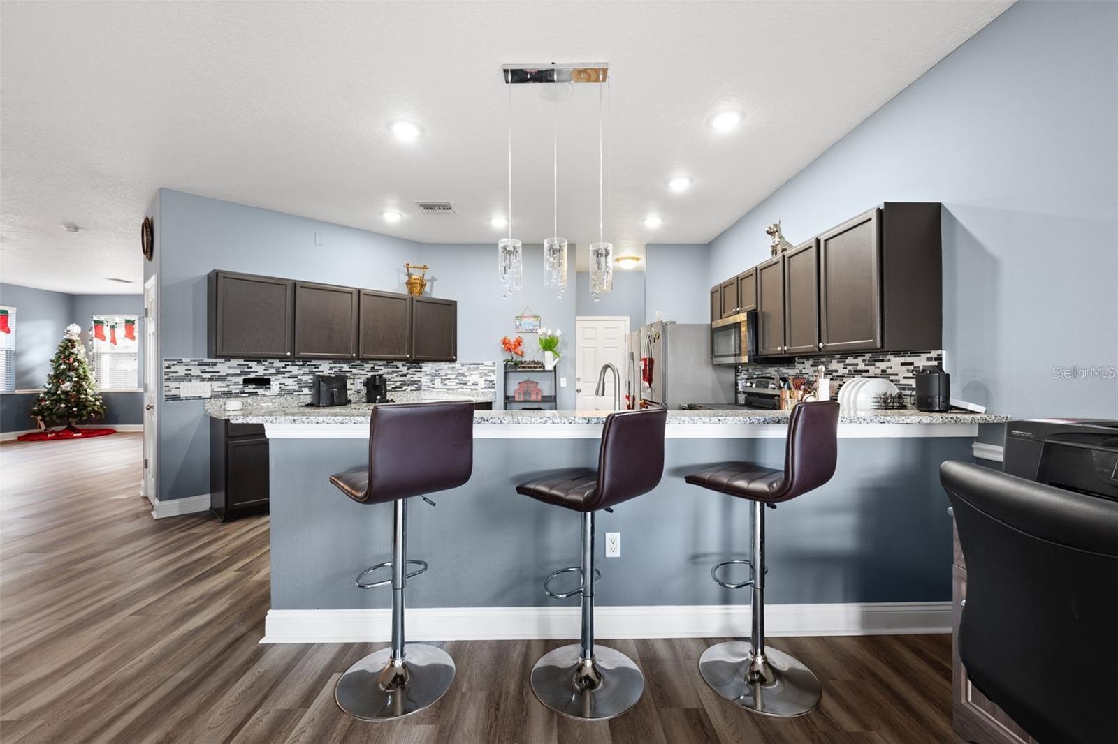 13506 RED EAR CT, RIVERVIEW, FL, 33569