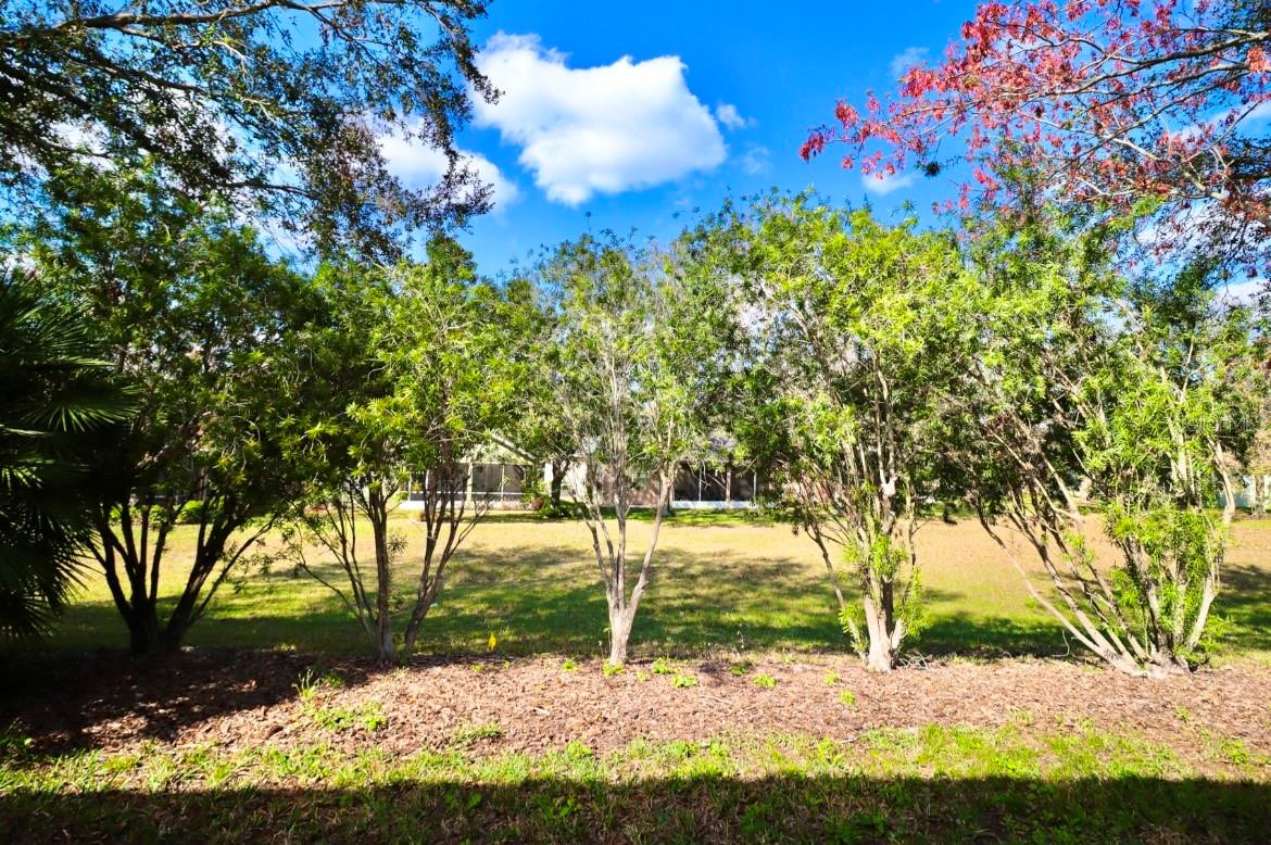 119 CRESCENT MOON DR, GROVELAND, FL, 34736