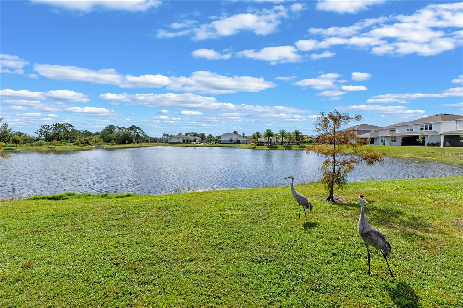 5648 CEDAR CHASE DR, SAINT CLOUD, FL, 34771