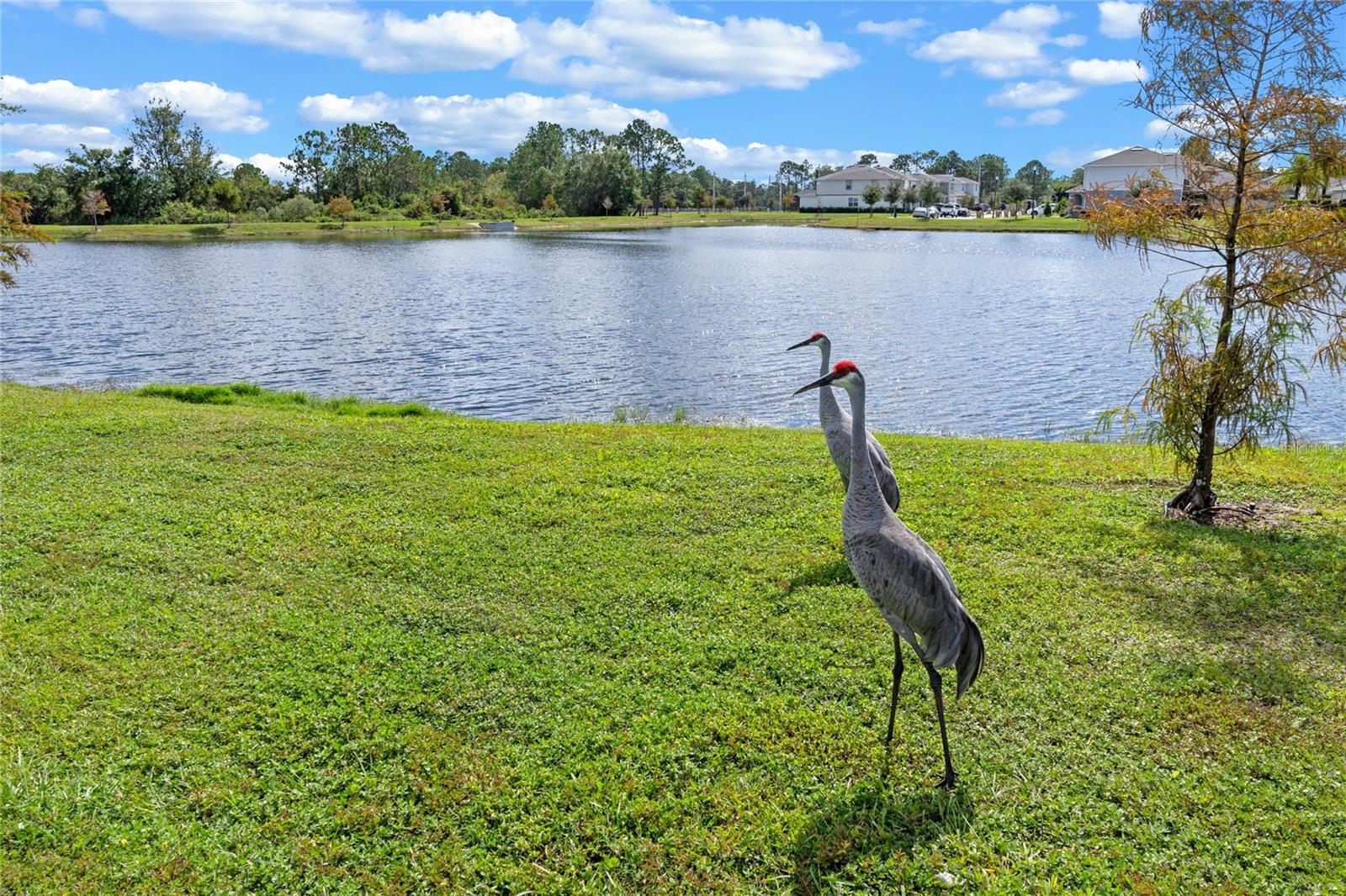 5648 CEDAR CHASE DR, SAINT CLOUD, FL, 34771