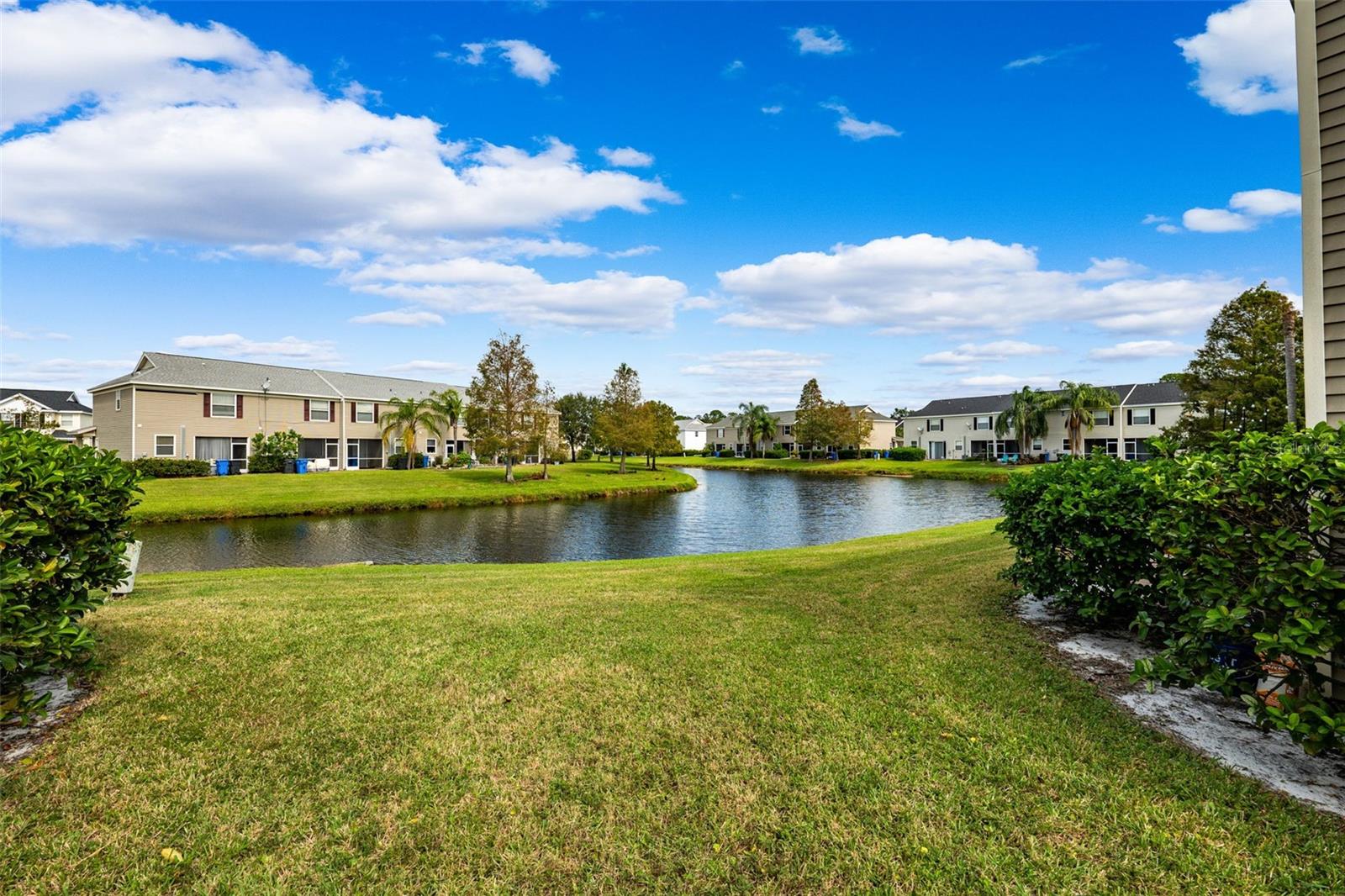 12445 COUNTRY WHITE CIR, TAMPA, FL, 33635