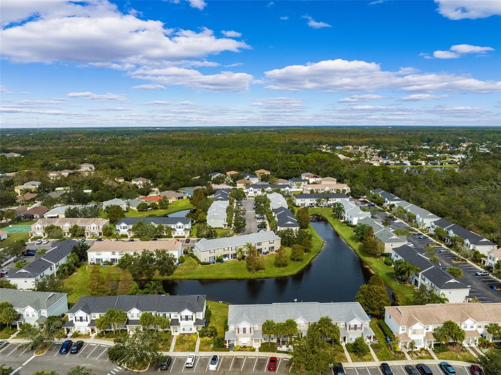 12445 COUNTRY WHITE CIR, TAMPA, FL, 33635