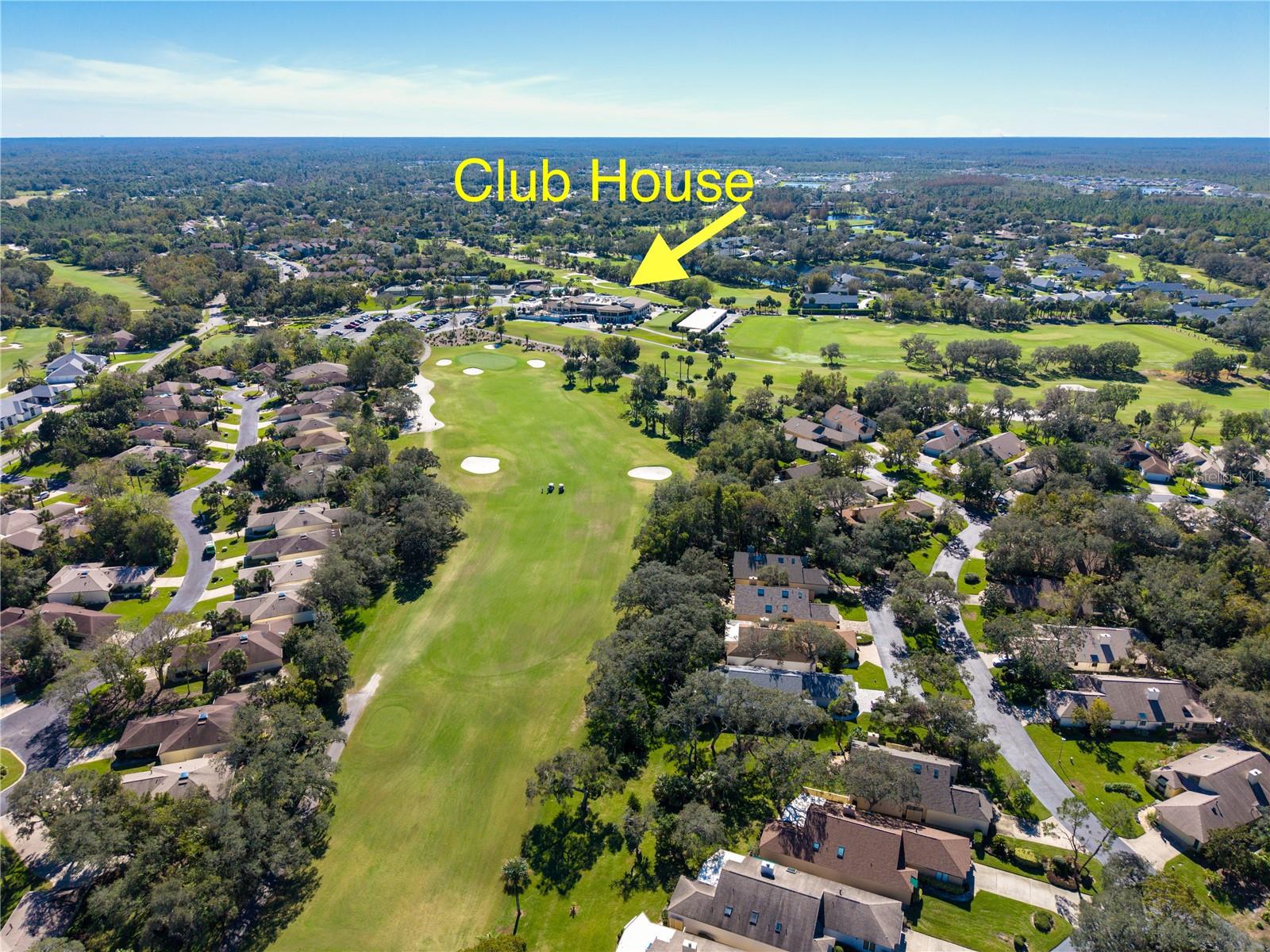 503 BOXWOOD LN, NEW SMYRNA BEACH, FL, 32168