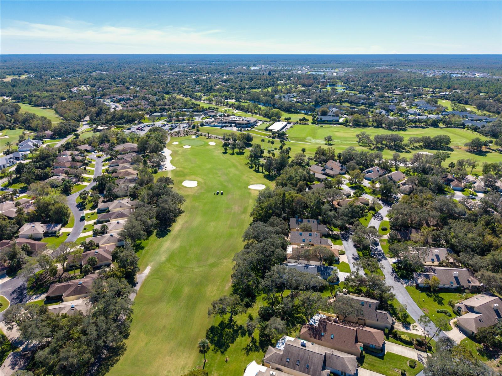 503 BOXWOOD LN, NEW SMYRNA BEACH, FL, 32168