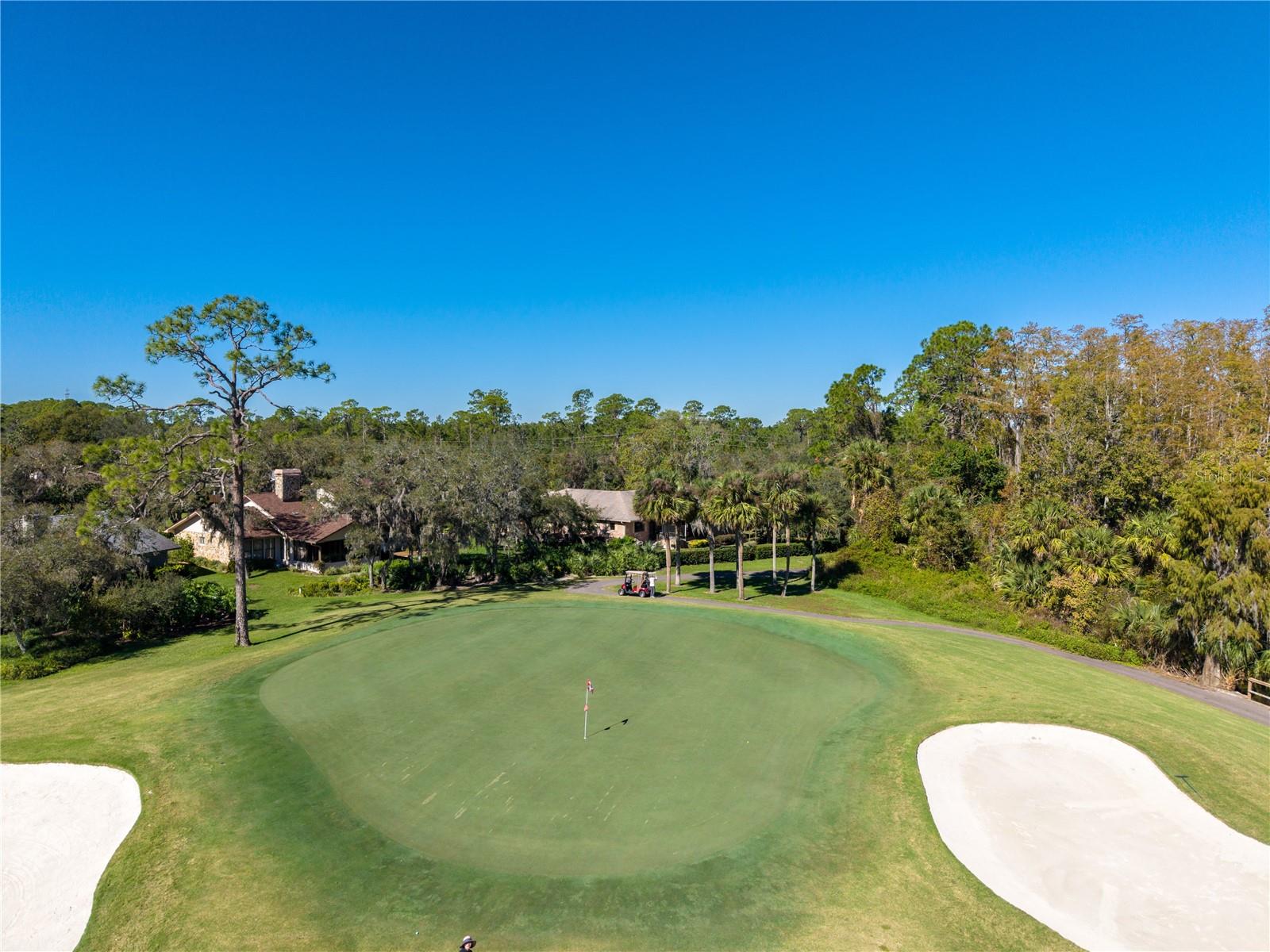 503 BOXWOOD LN, NEW SMYRNA BEACH, FL, 32168