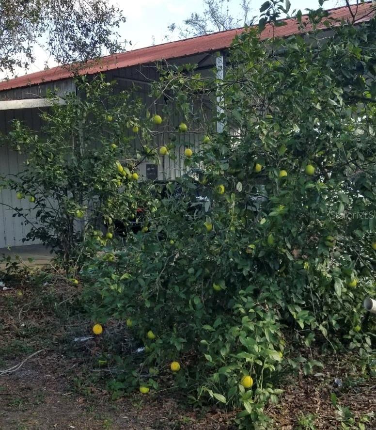 11085 E US HIGHWAY 90, LEE, FL, 32059