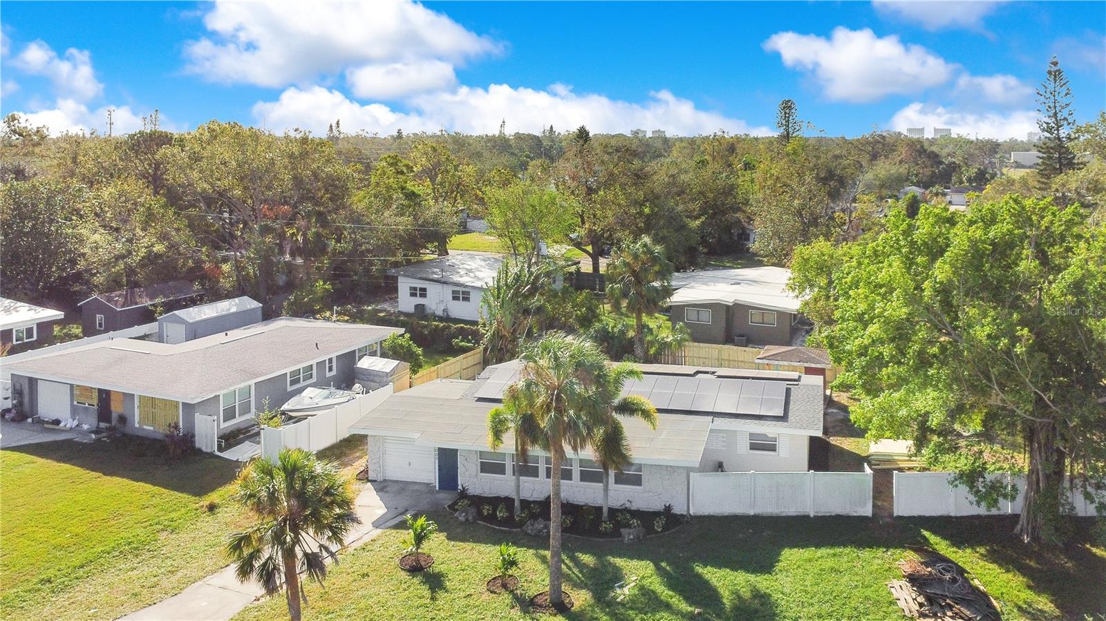 1009 FARRAGUT DR N, ST PETERSBURG, FL, 33710