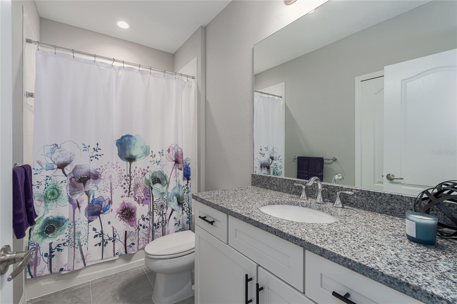11655 BLUESTONE CT, PARRISH, FL, 34219