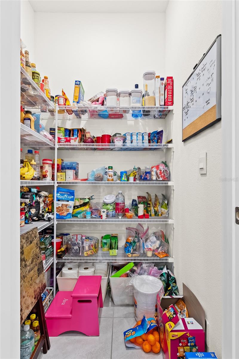 2906 BOXWOOD GROVE ROW, WESLEY CHAPEL, FL, 33543