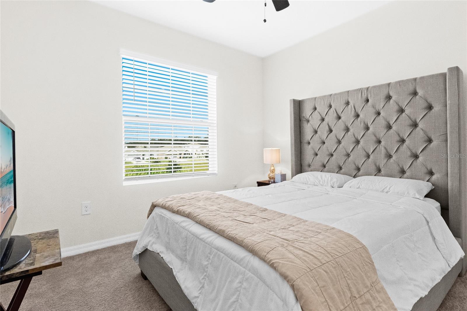 2906 BOXWOOD GROVE ROW, WESLEY CHAPEL, FL, 33543