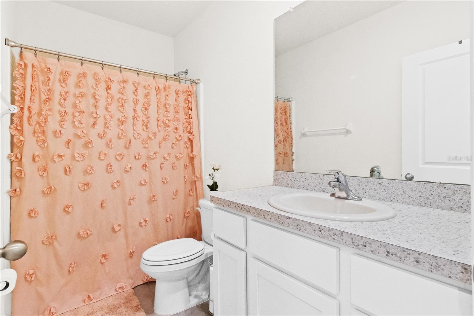 2906 BOXWOOD GROVE ROW, WESLEY CHAPEL, FL, 33543