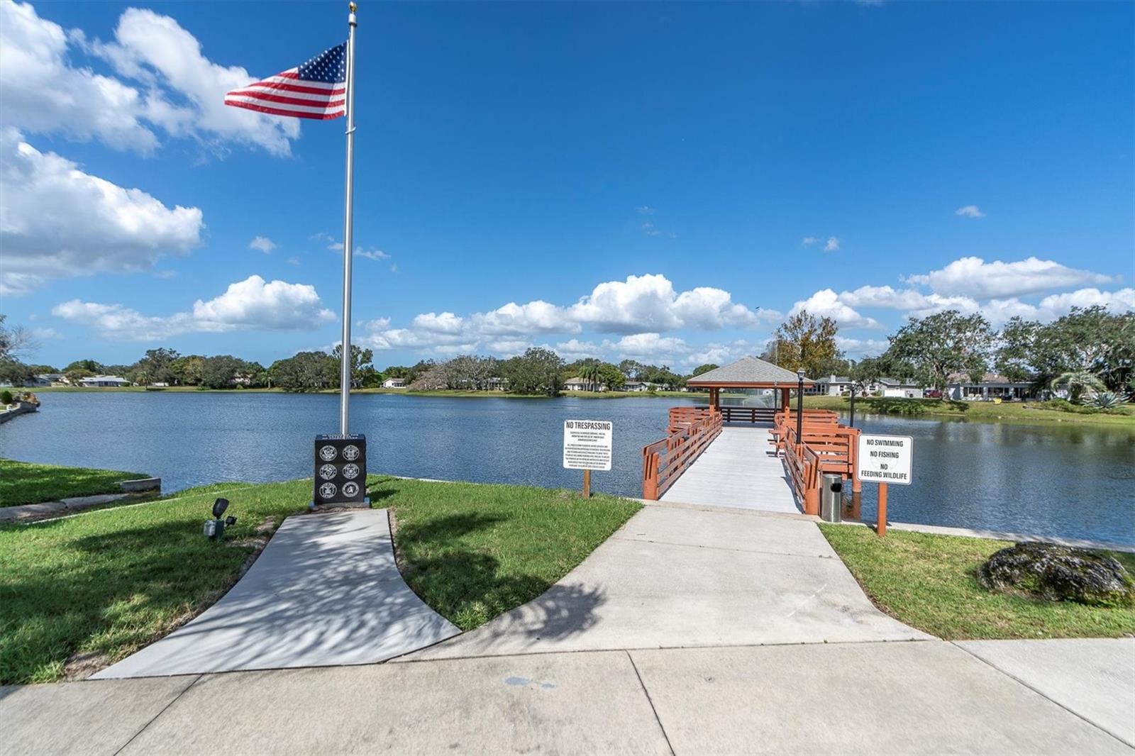 11311 DOLLAR LAKE DR #6, PORT RICHEY, FL, 34668