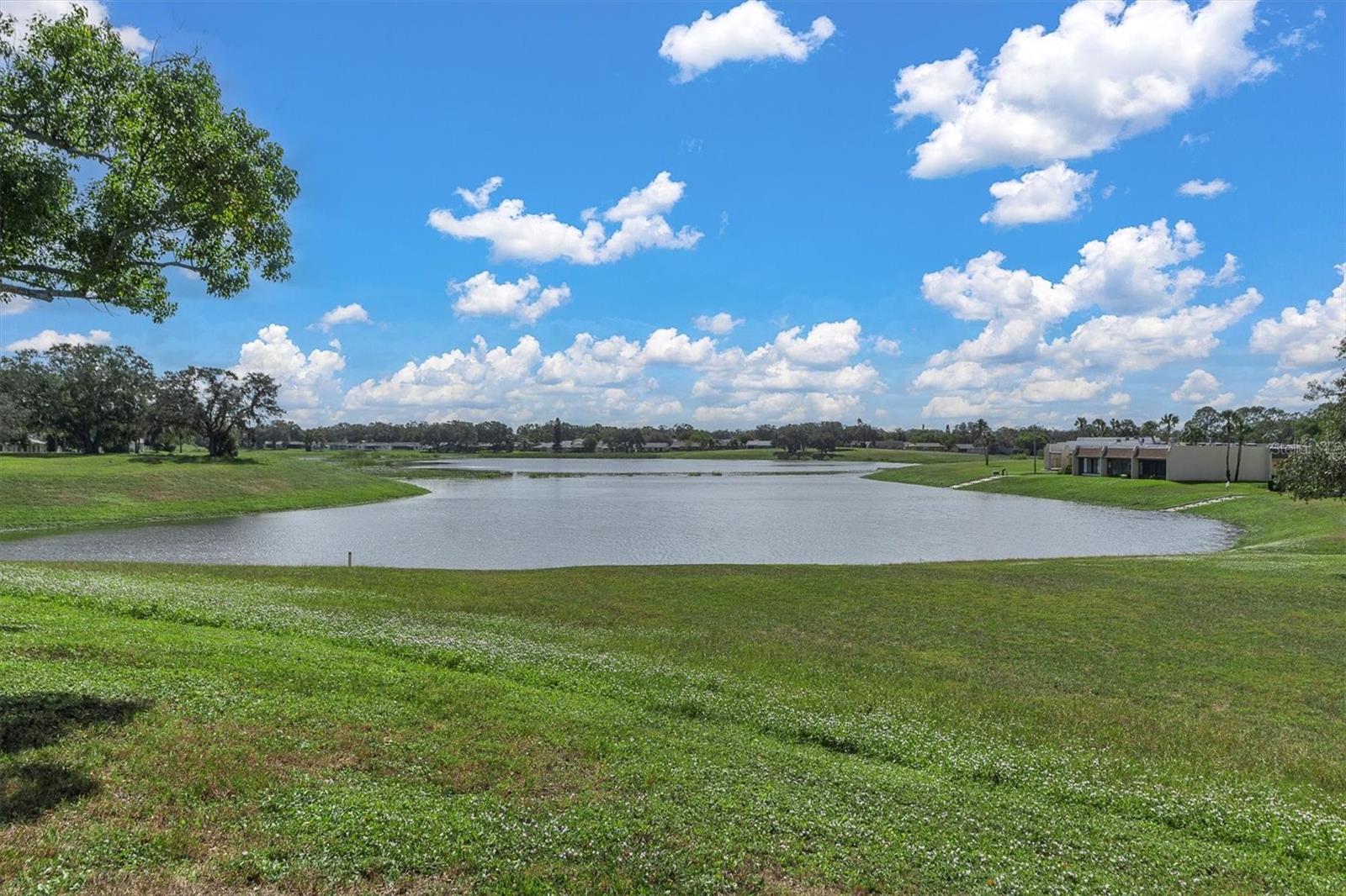 11311 DOLLAR LAKE DR #6, PORT RICHEY, FL, 34668
