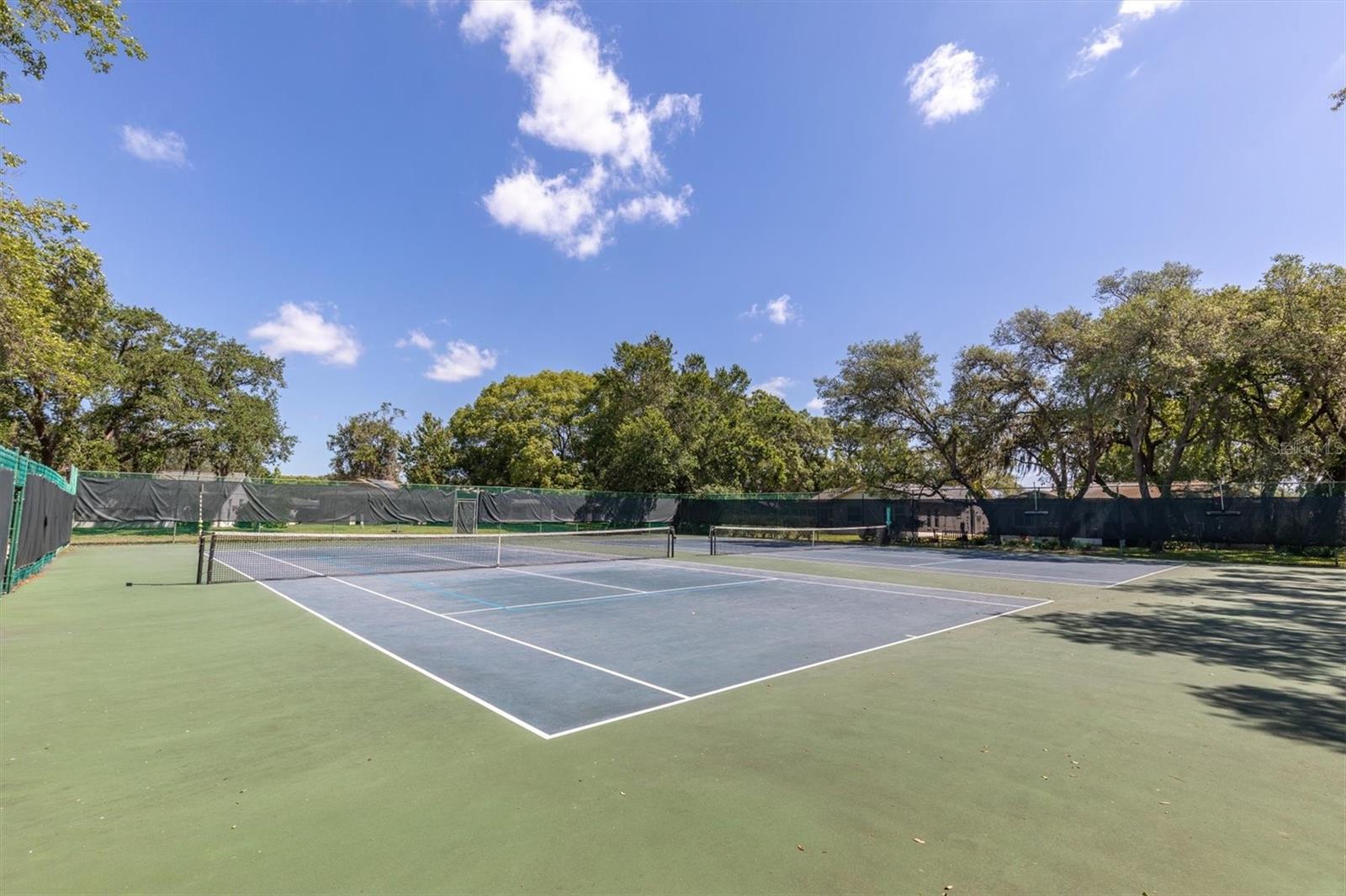 11311 DOLLAR LAKE DR #6, PORT RICHEY, FL, 34668