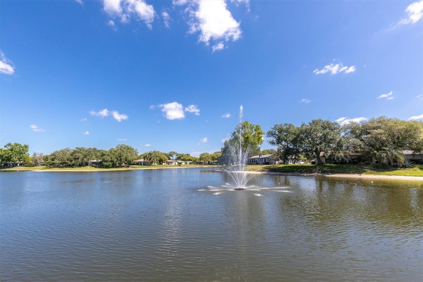 11311 DOLLAR LAKE DR #6, PORT RICHEY, FL, 34668