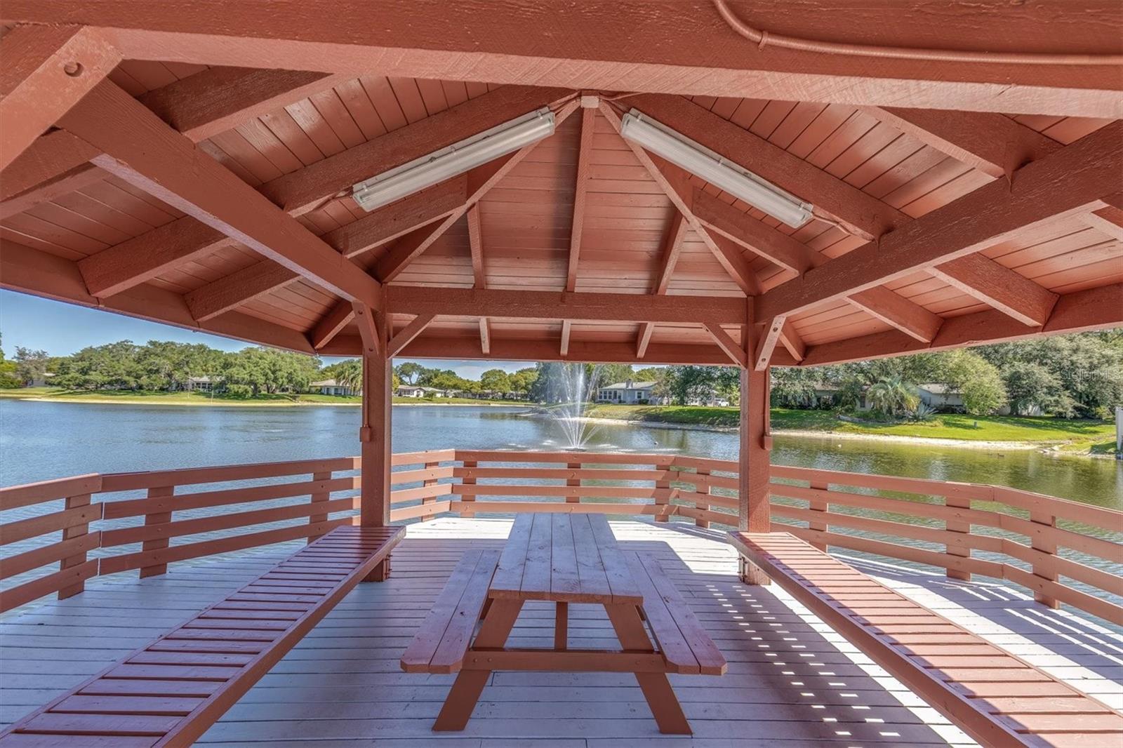 11311 DOLLAR LAKE DR #6, PORT RICHEY, FL, 34668