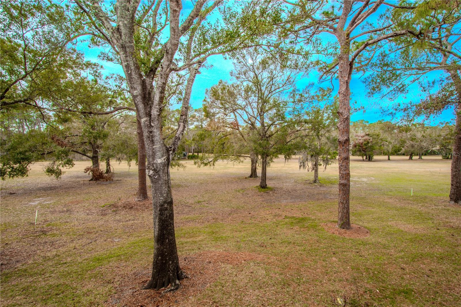 3505 TARPON WOODS BLVD #K409, PALM HARBOR, FL, 34685