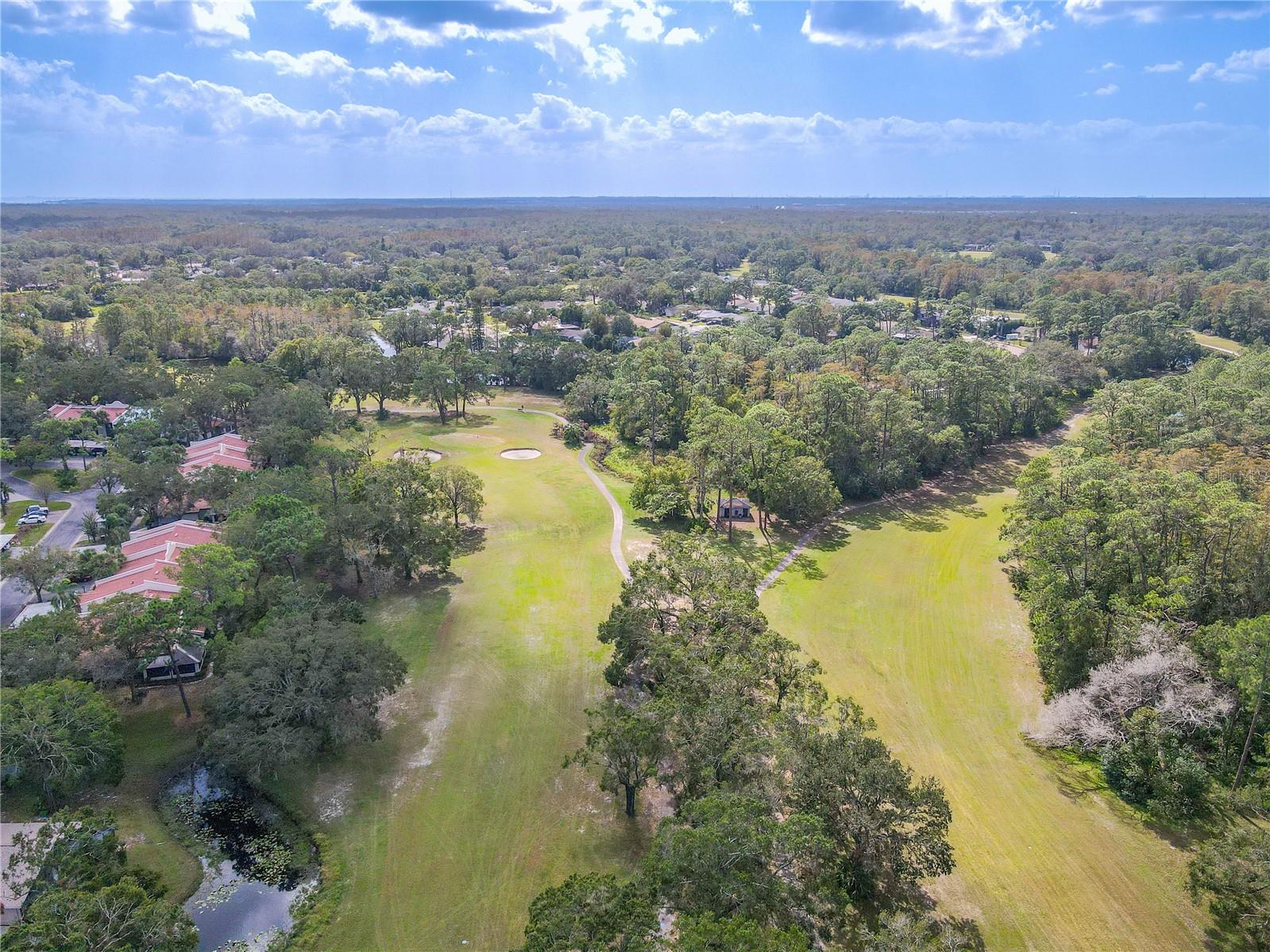 3505 TARPON WOODS BLVD #K409, PALM HARBOR, FL, 34685