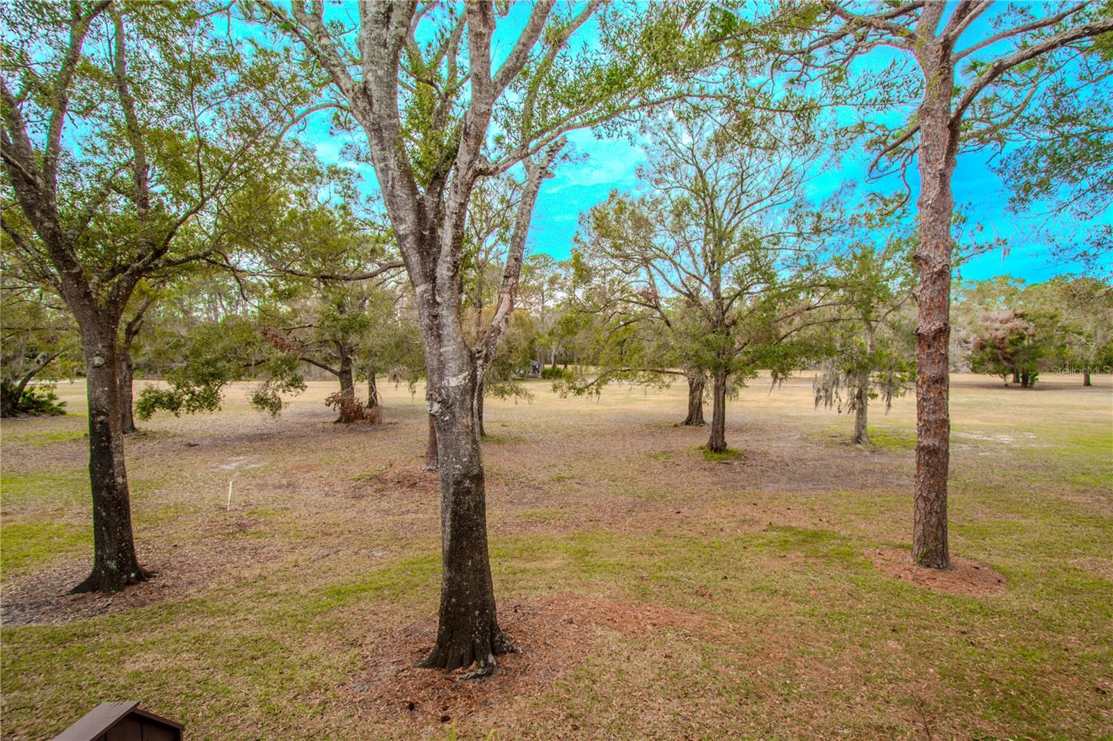 3505 TARPON WOODS BLVD #K409, PALM HARBOR, FL, 34685