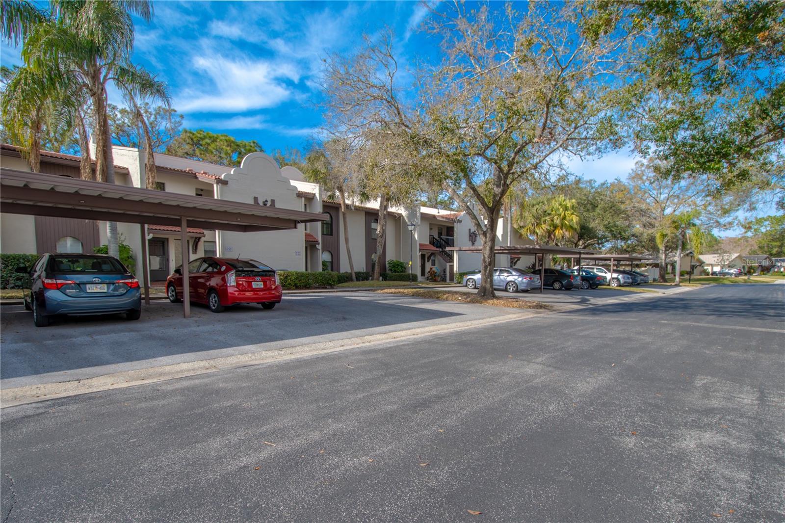 3505 TARPON WOODS BLVD #K409, PALM HARBOR, FL, 34685