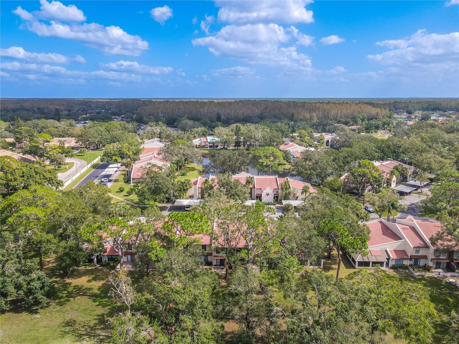 3505 TARPON WOODS BLVD #K409, PALM HARBOR, FL, 34685