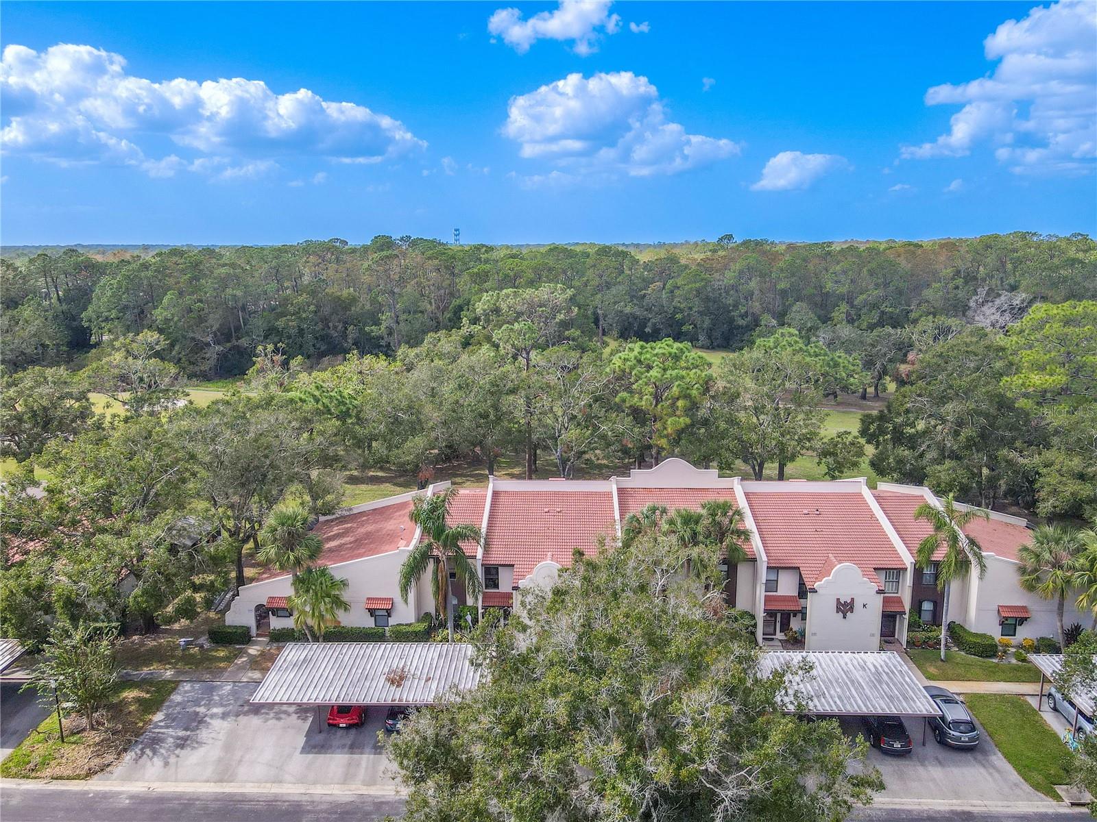 3505 TARPON WOODS BLVD #K409, PALM HARBOR, FL, 34685