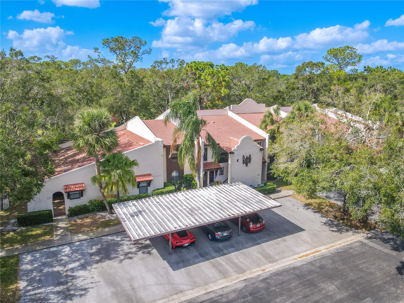 3505 TARPON WOODS BLVD #K409, PALM HARBOR, FL, 34685