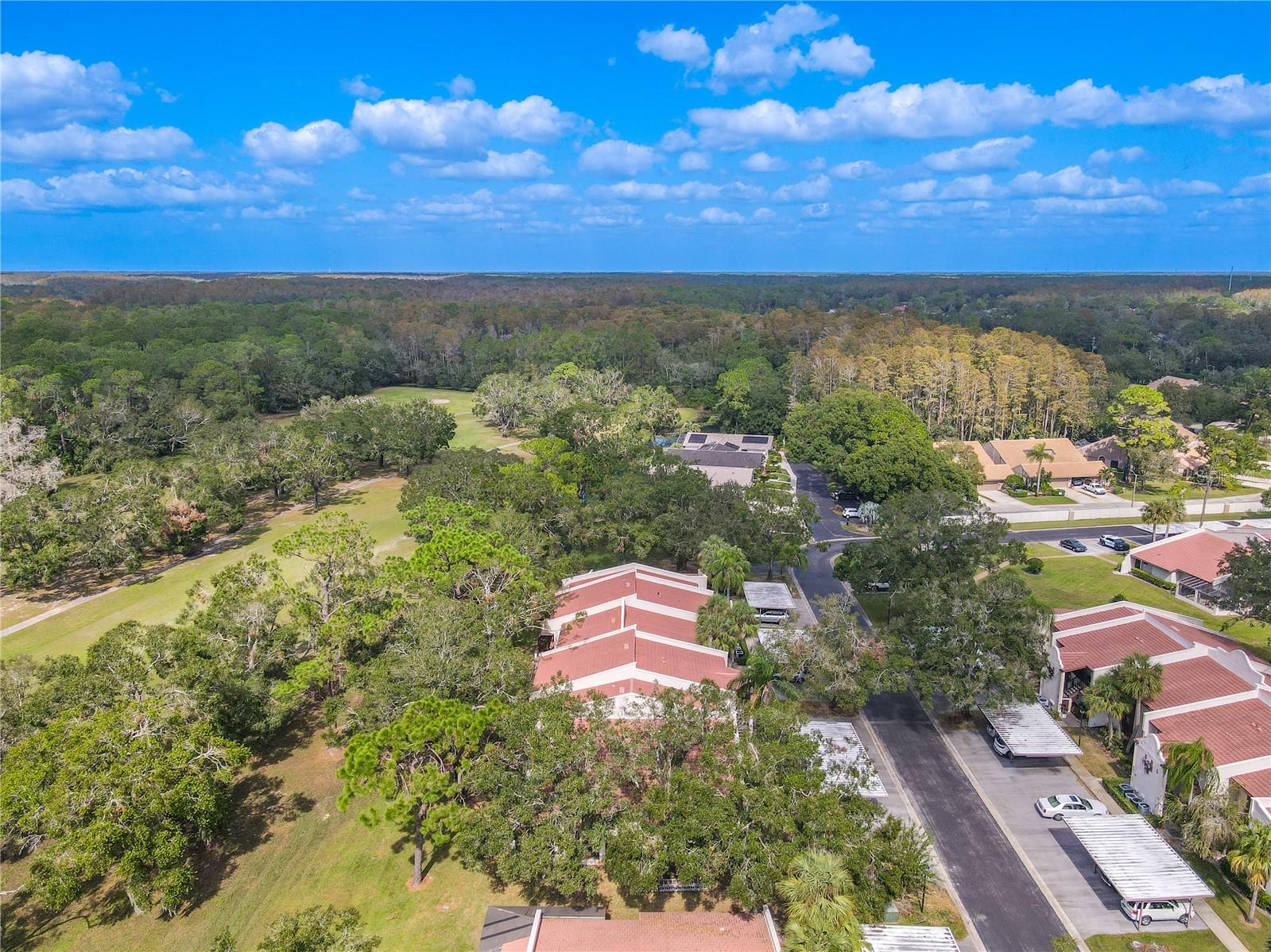 3505 TARPON WOODS BLVD #K409, PALM HARBOR, FL, 34685