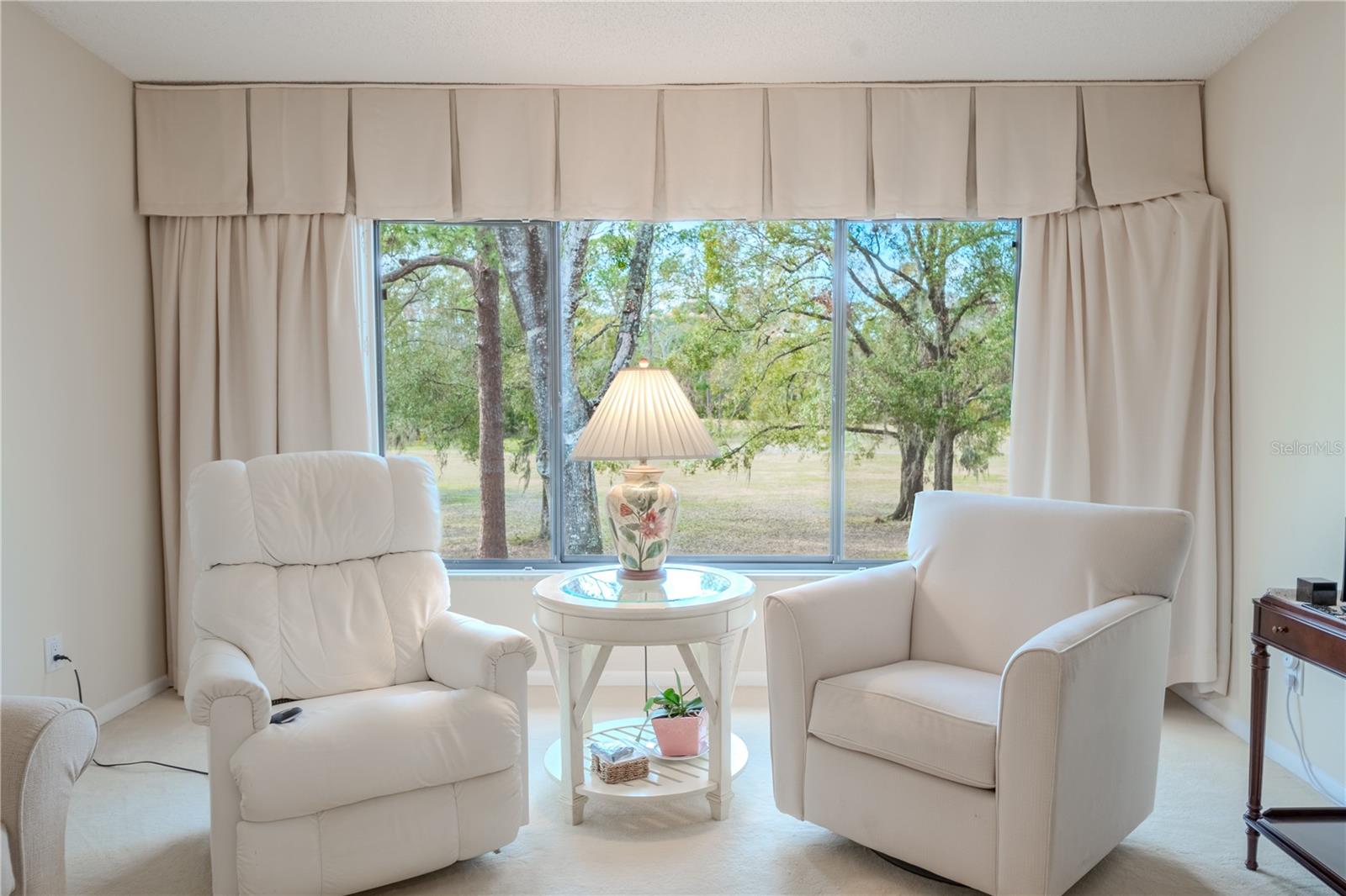 3505 TARPON WOODS BLVD #K409, PALM HARBOR, FL, 34685