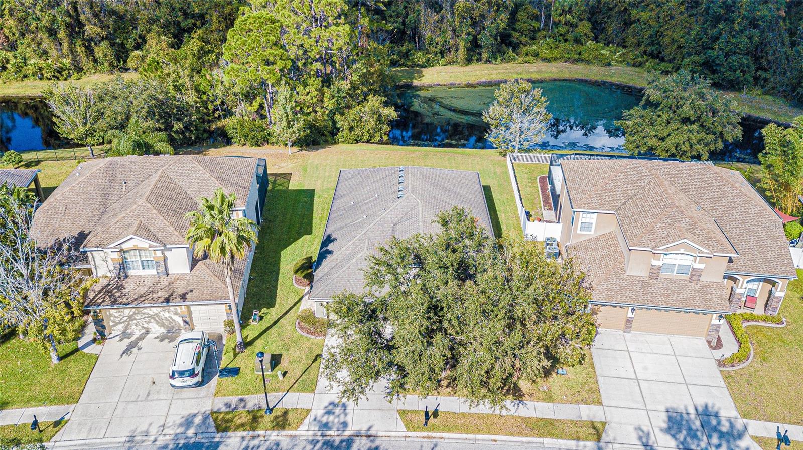 11231 BELLE HAVEN DR, NEW PORT RICHEY, FL, 34654