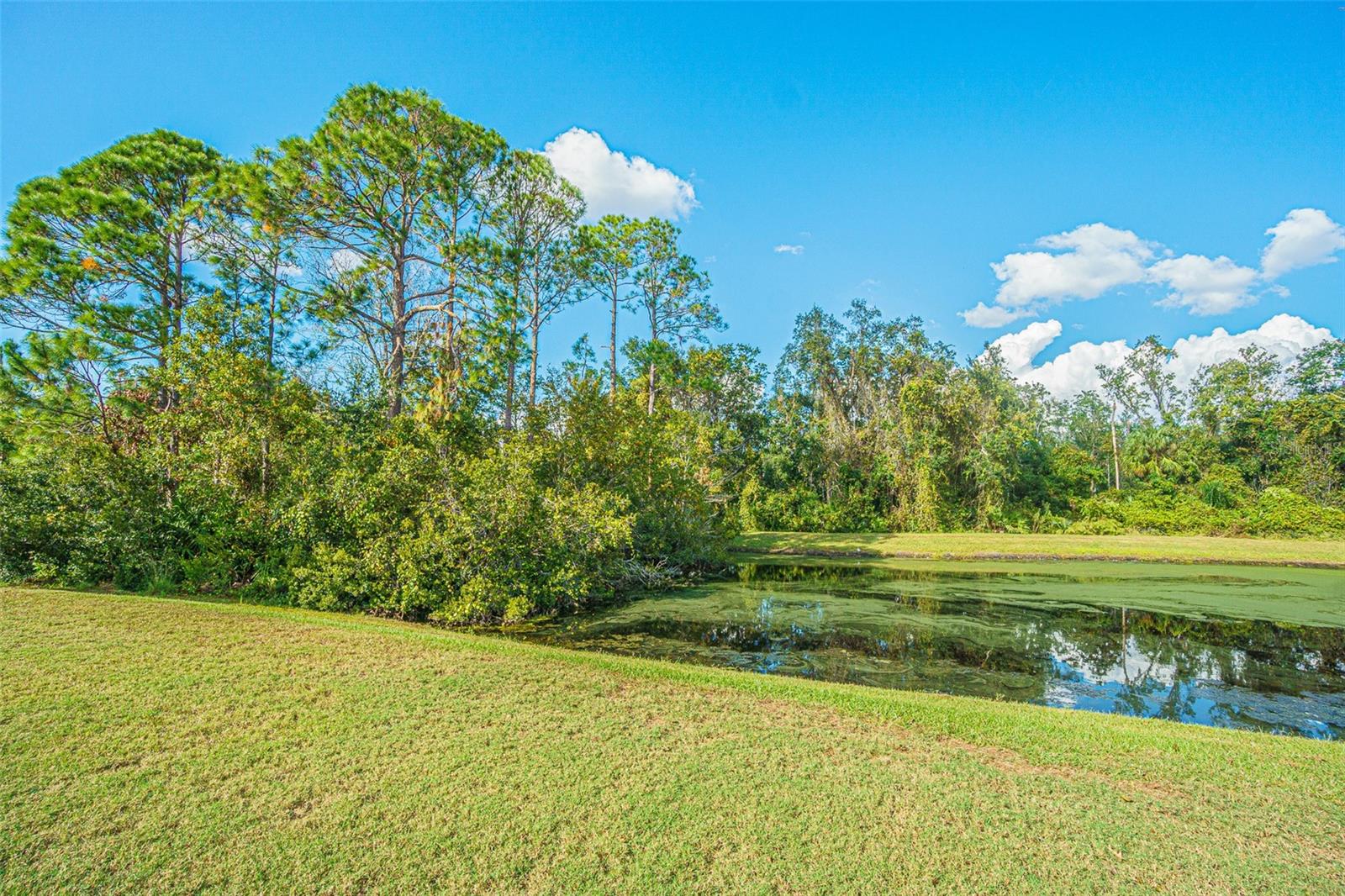 11231 BELLE HAVEN DR, NEW PORT RICHEY, FL, 34654