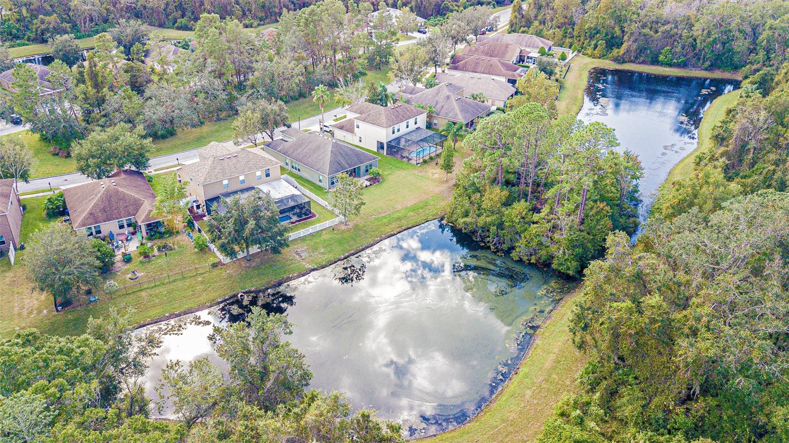 11231 BELLE HAVEN DR, NEW PORT RICHEY, FL, 34654